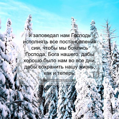 Picture 07 - Второзаконие 6:24 RUSV - и заповедал нам Господь - Bible Verse Picture