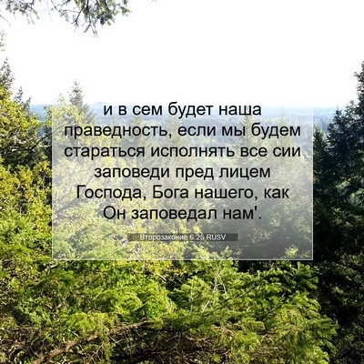 Picture 07 - Второзаконие 6:25 RUSV - и в сем будет наша - Bible Verse Picture