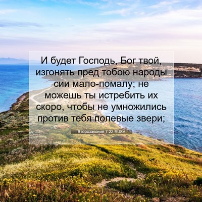 Picture 07 - Второзаконие 7:22 RUSV - И будет Господь, Бог твой, - Bible Verse Picture