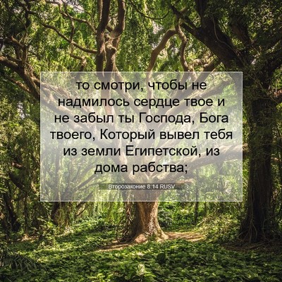 Picture 07 - Второзаконие 8:14 RUSV - то смотри, чтобы не - Bible Verse Picture