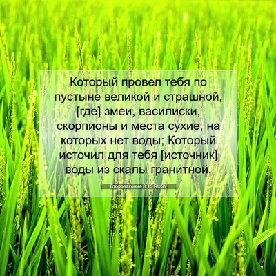 Picture 07 - Второзаконие 8:15 RUSV - Который провел тебя по - Bible Verse Picture