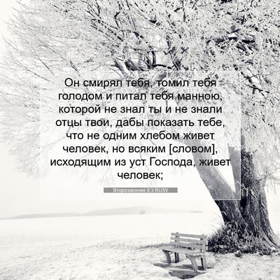Picture 07 - Второзаконие 8:3 RUSV - Он смирял тебя, томил тебя - Bible Verse Picture