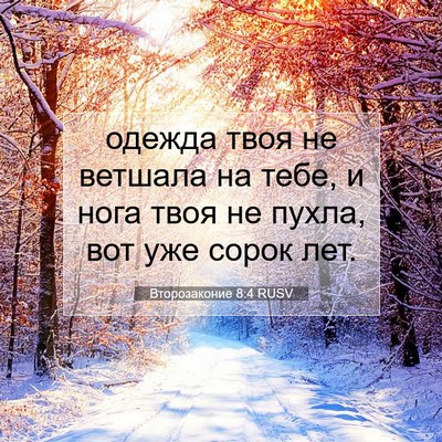 Picture 07 - Второзаконие 8:4 RUSV - одежда твоя не ветшала на - Bible Verse Picture