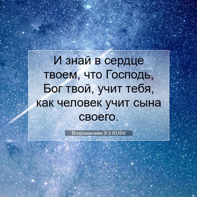 Picture 07 - Второзаконие 8:5 RUSV - И знай в сердце твоем, что - Bible Verse Picture