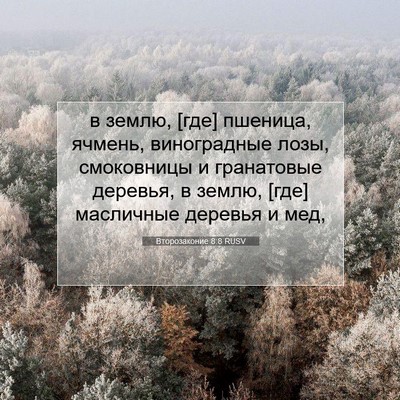 Picture 07 - Второзаконие 8:8 RUSV - в землю, [где] пшеница, - Bible Verse Picture