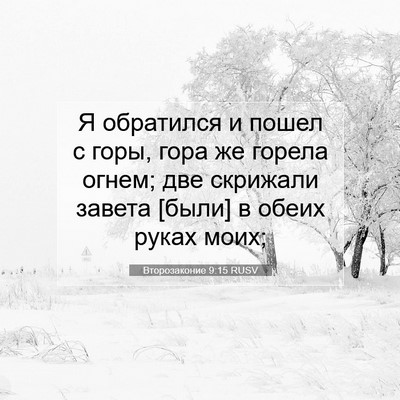 Picture 07 - Второзаконие 9:15 RUSV - Я обратился и пошел с горы, - Bible Verse Picture