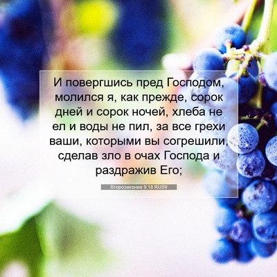 Picture 07 - Второзаконие 9:18 RUSV - И повергшись пред - Bible Verse Picture