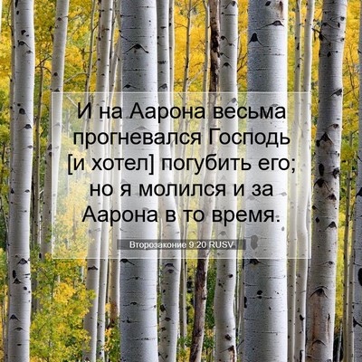 Picture 07 - Второзаконие 9:20 RUSV - И на Аарона весьма - Bible Verse Picture