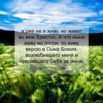 Picture 07 - Галатам 2:20 RUSV - и уже не я живу, но живет во - Bible Verse Picture