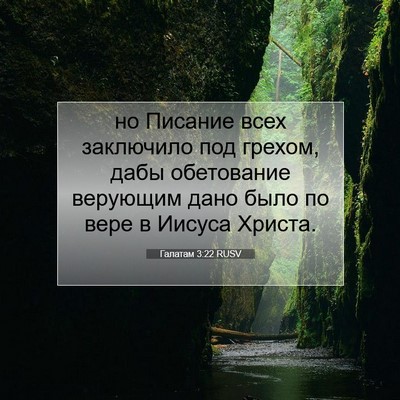Picture 07 - Галатам 3:22 RUSV - но Писание всех заключило - Bible Verse Picture