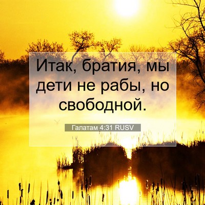 Picture 07 - Галатам 4:31 RUSV - Итак, братия, мы дети не - Bible Verse Picture