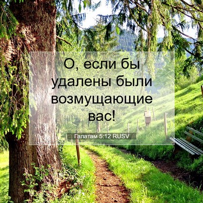 Picture 07 - Галатам 5:12 RUSV - О, если бы удалены были - Bible Verse Picture