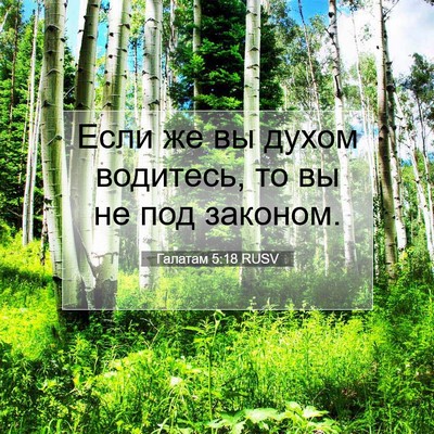 Picture 07 - Галатам 5:18 RUSV - Если же вы духом водитесь, - Bible Verse Picture