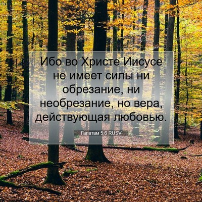 Picture 07 - Галатам 5:6 RUSV - Ибо во Христе Иисусе не - Bible Verse Picture