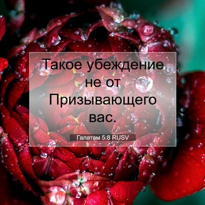Picture 07 - Галатам 5:8 RUSV - Такое убеждение не от - Bible Verse Picture