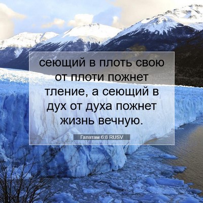 Picture 07 - Галатам 6:8 RUSV - сеющий в плоть свою от - Bible Verse Picture