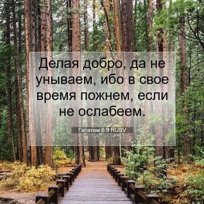 Picture 07 - Галатам 6:9 RUSV - Делая добро, да не унываем, - Bible Verse Picture