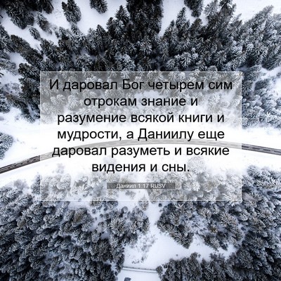 Picture 07 - Даниил 1:17 RUSV - И даровал Бог четырем сим - Bible Verse Picture
