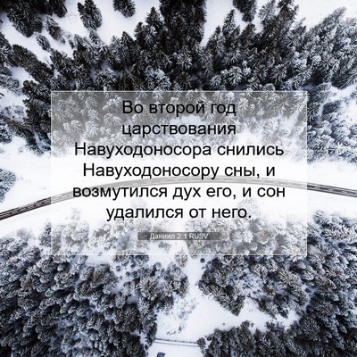 Picture 07 - Даниил 2:1 RUSV - Во второй год царствования - Bible Verse Picture