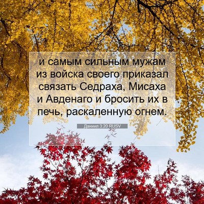 Picture 07 - Даниил 3:20 RUSV - и самым сильным мужам из - Bible Verse Picture