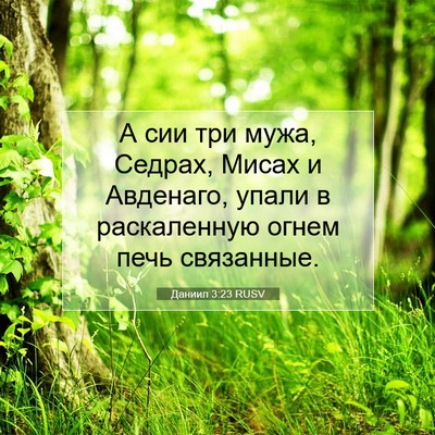 Picture 07 - Даниил 3:23 RUSV - А сии три мужа, Седрах, - Bible Verse Picture