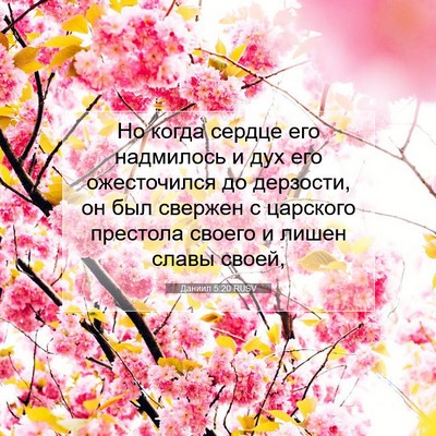 Picture 07 - Даниил 5:20 RUSV - Но когда сердце его - Bible Verse Picture