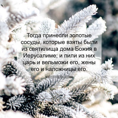 Picture 07 - Даниил 5:3 RUSV - Тогда принесли золотые - Bible Verse Picture