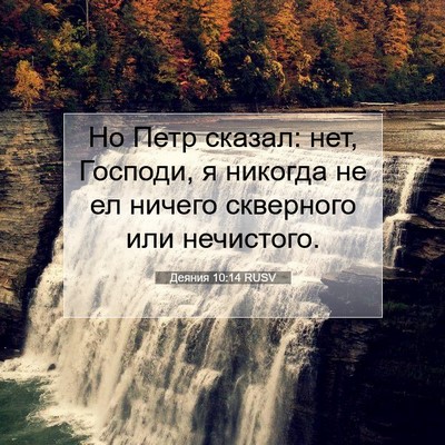 Picture 07 - Деяния 10:14 RUSV - Но Петр сказал: нет, - Bible Verse Picture