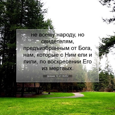Picture 07 - Деяния 10:41 RUSV - не всему народу, но - Bible Verse Picture