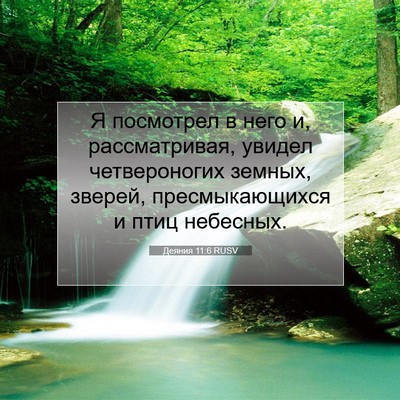 Picture 07 - Деяния 11:6 RUSV - Я посмотрел в него и, - Bible Verse Picture