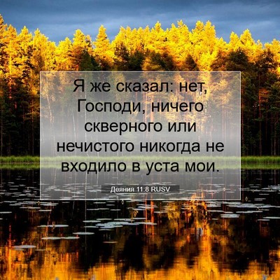 Picture 07 - Деяния 11:8 RUSV - Я же сказал: нет, Господи, - Bible Verse Picture