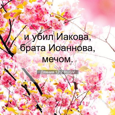 Picture 07 - Деяния 12:2 RUSV - и убил Иакова, брата - Bible Verse Picture