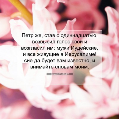 Picture 07 - Деяния 2:14 RUSV - Петр же, став с - Bible Verse Picture