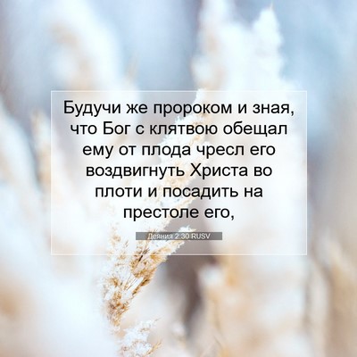 Picture 07 - Деяния 2:30 RUSV - Будучи же пророком и зная, - Bible Verse Picture