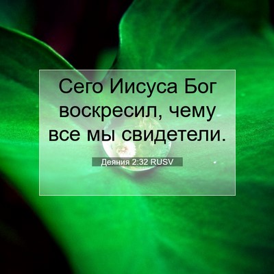 Picture 07 - Деяния 2:32 RUSV - Сего Иисуса Бог воскресил, - Bible Verse Picture