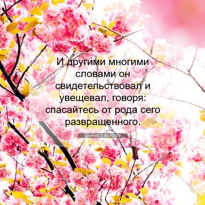 Picture 07 - Деяния 2:40 RUSV - И другими многими словами - Bible Verse Picture