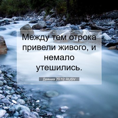 Picture 07 - Деяния 20:12 RUSV - Между тем отрока привели - Bible Verse Picture