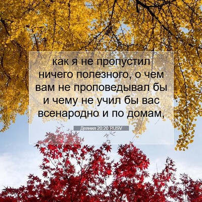Picture 07 - Деяния 20:20 RUSV - как я не пропустил ничего - Bible Verse Picture