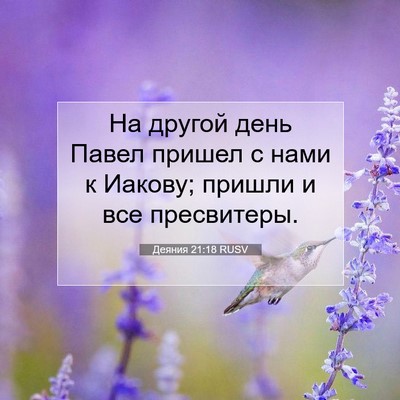 Picture 07 - Деяния 21:18 RUSV - На другой день Павел - Bible Verse Picture