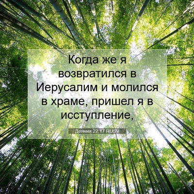 Picture 07 - Деяния 22:17 RUSV - Когда же я возвратился в - Bible Verse Picture