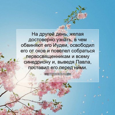 Picture 07 - Деяния 22:30 RUSV - На другой день, желая - Bible Verse Picture