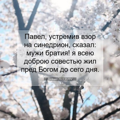 Picture 07 - Деяния 23:1 RUSV - Павел, устремив взор на - Bible Verse Picture