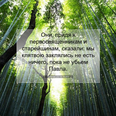 Picture 07 - Деяния 23:14 RUSV - Они, придя к - Bible Verse Picture