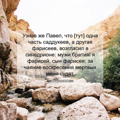 Picture 07 - Деяния 23:6 RUSV - Узнав же Павел, что [тут] - Bible Verse Picture