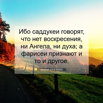 Picture 07 - Деяния 23:8 RUSV - Ибо саддукеи говорят, что - Bible Verse Picture