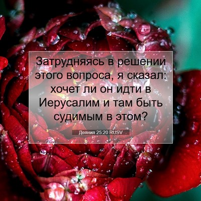 Picture 07 - Деяния 25:20 RUSV - Затрудняясь в решении - Bible Verse Picture