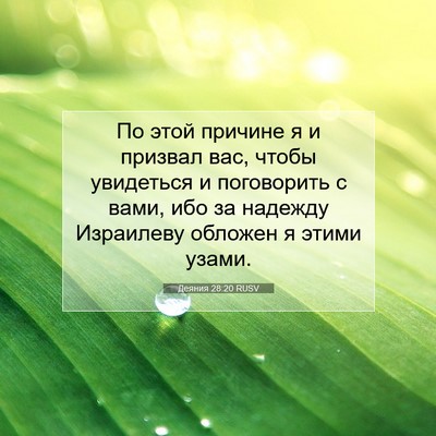 Picture 07 - Деяния 28:20 RUSV - По этой причине я и призвал - Bible Verse Picture