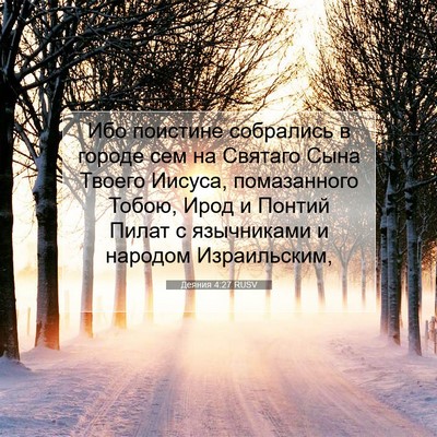 Picture 07 - Деяния 4:27 RUSV - Ибо поистине собрались в - Bible Verse Picture