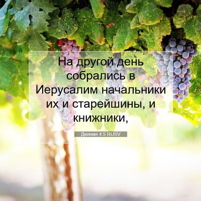 Picture 07 - Деяния 4:5 RUSV - На другой день собрались в - Bible Verse Picture
