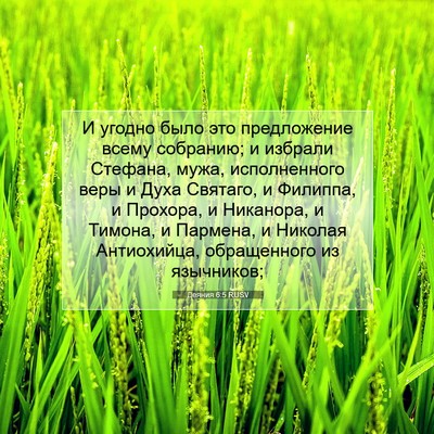 Picture 07 - Деяния 6:5 RUSV - И угодно было это - Bible Verse Picture
